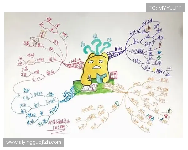 学习365正规官网使用技巧，提升您的操作效率与体验感