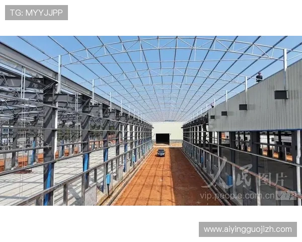 博鱼官网下载安装常见问题及解决方案，帮助玩家排除安装过程中遇到的各种困难